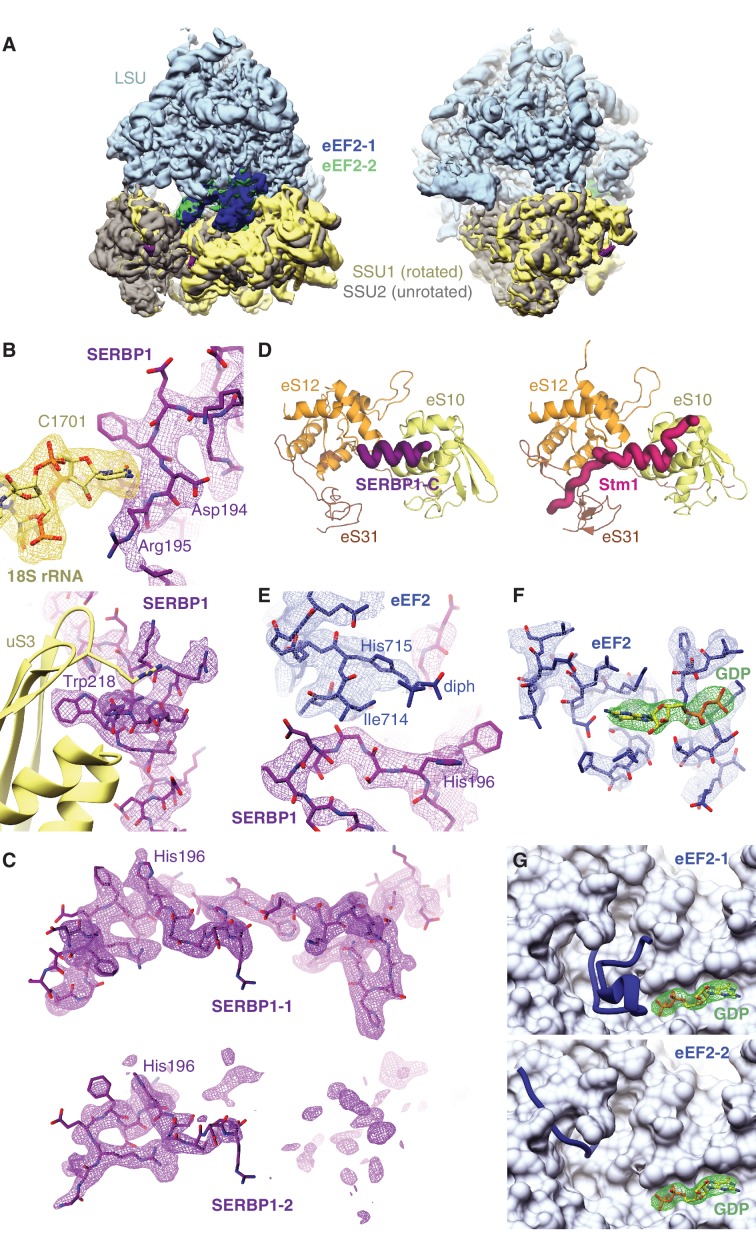 Figure 2—figure supplement 1.