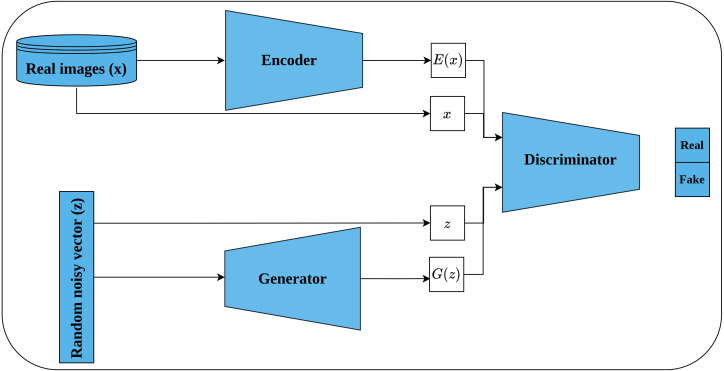 Figure 12