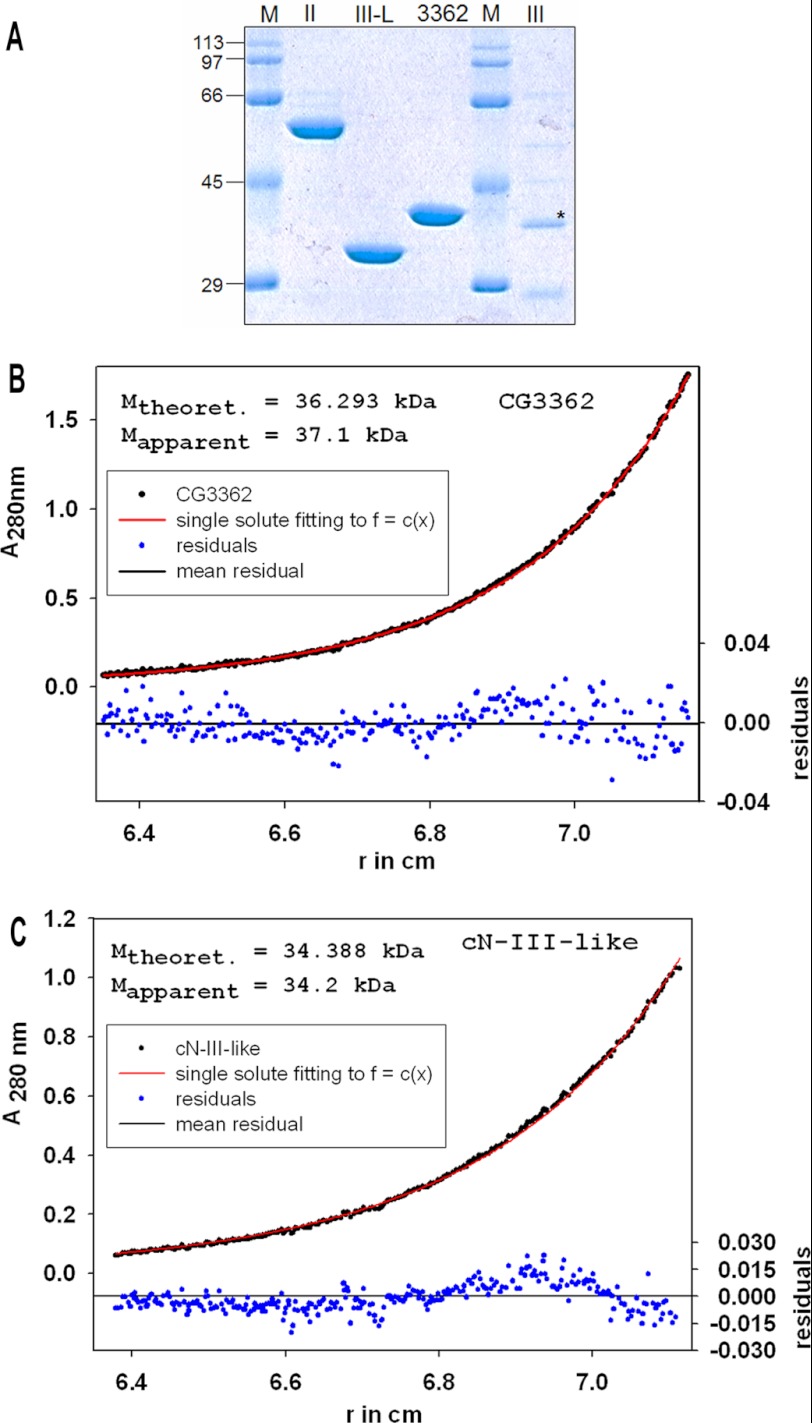 FIGURE 5.