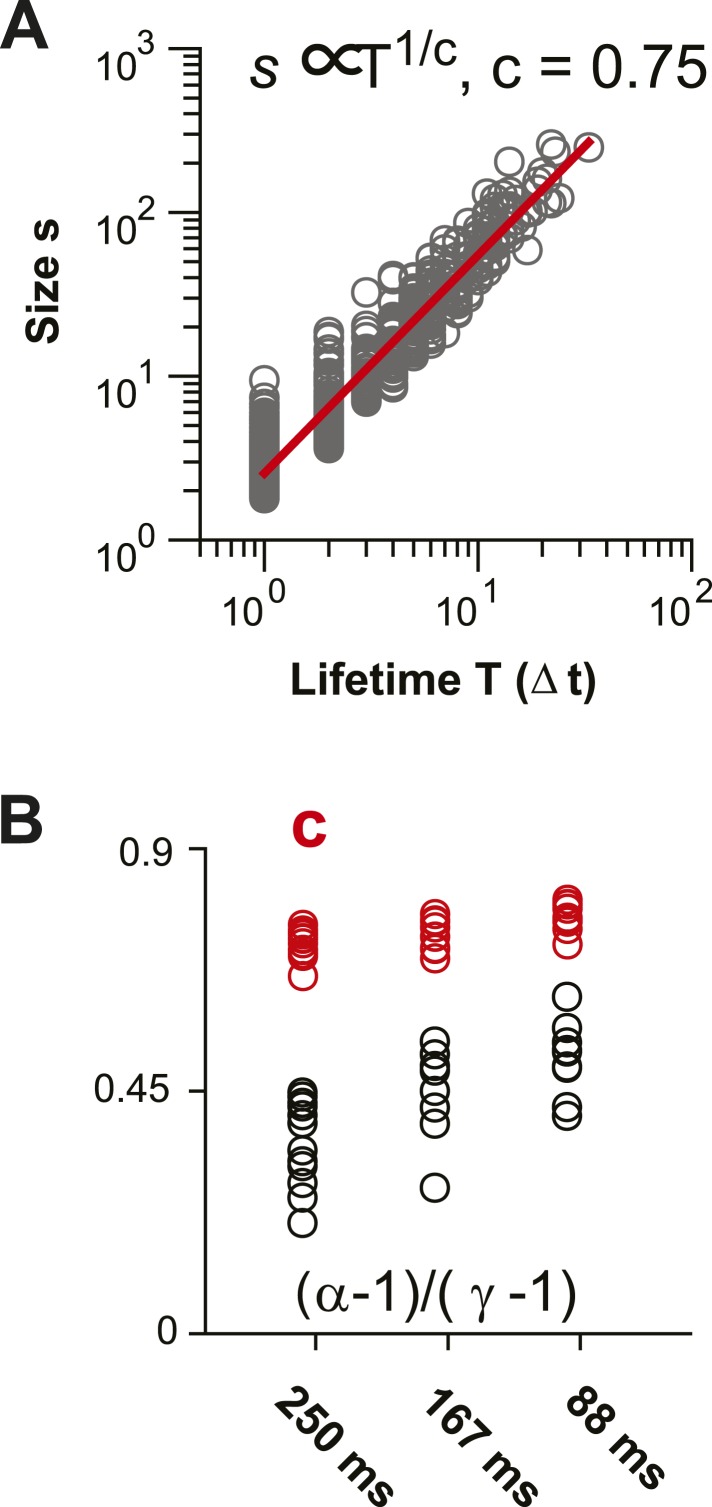 Figure 6—figure supplement 1.