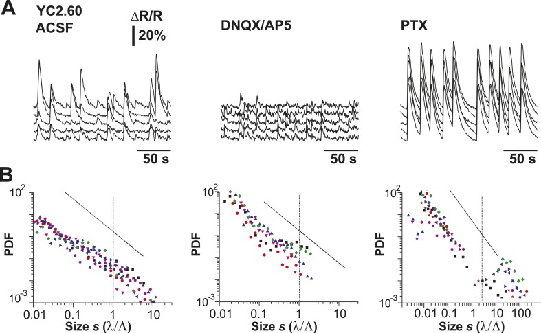 Figure 7—figure supplement 2.