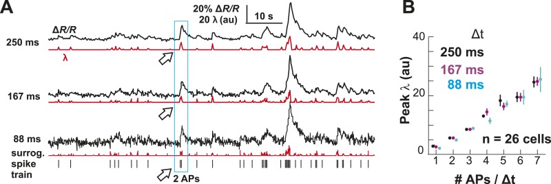 Figure 1—figure supplement 2.