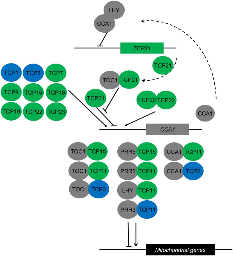 FIGURE 3