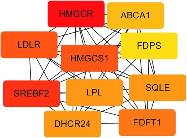 Fig. 7