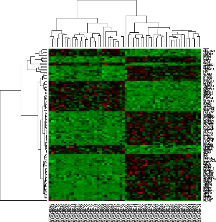 Fig. 4