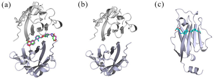 Figure 13