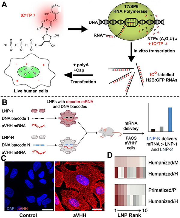 FIGURE 15