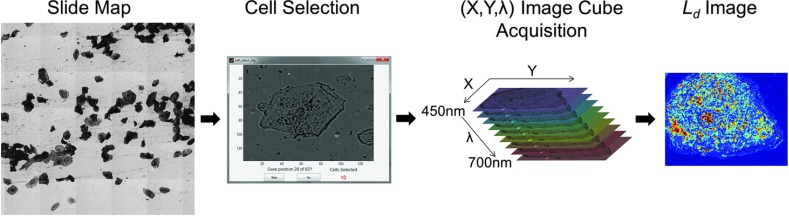 Fig. 3