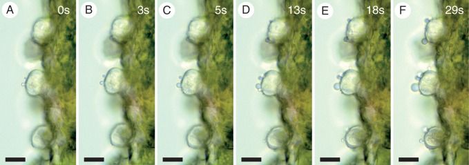 Fig. 3.