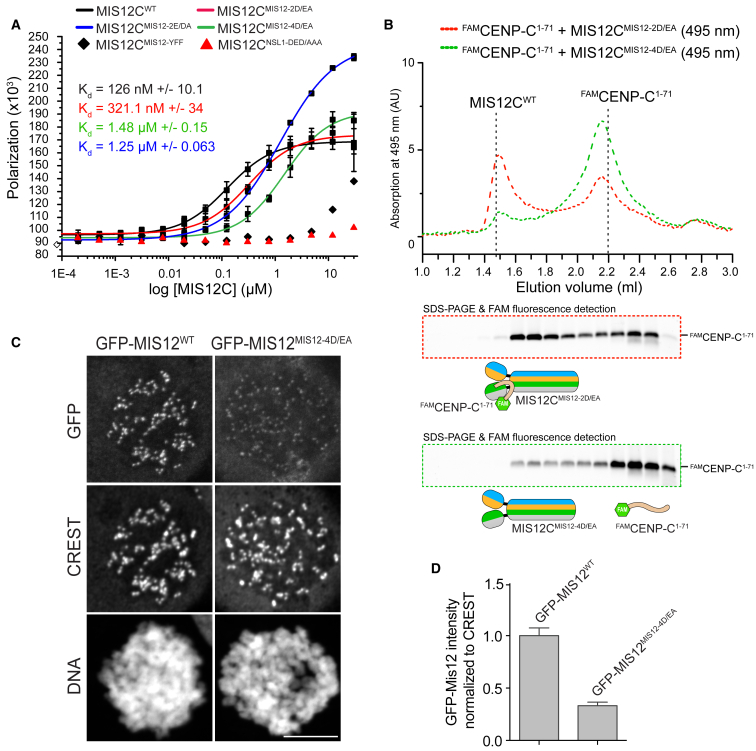 Figure 4