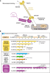 Figure S1