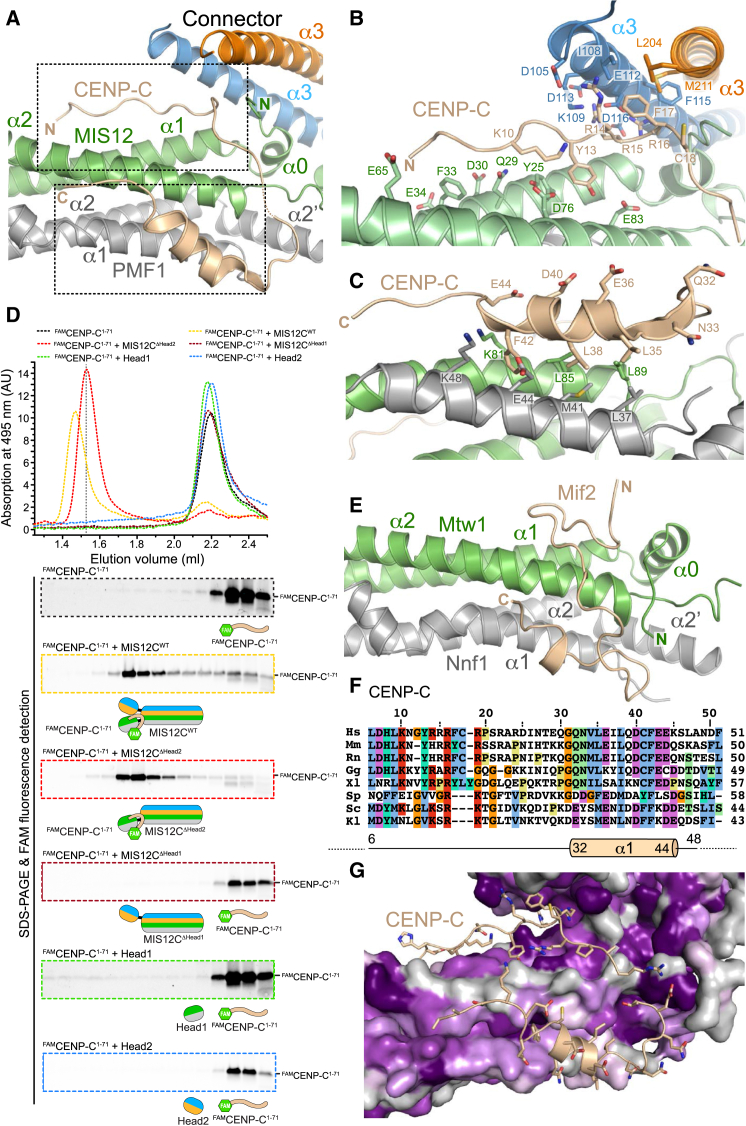 Figure 2