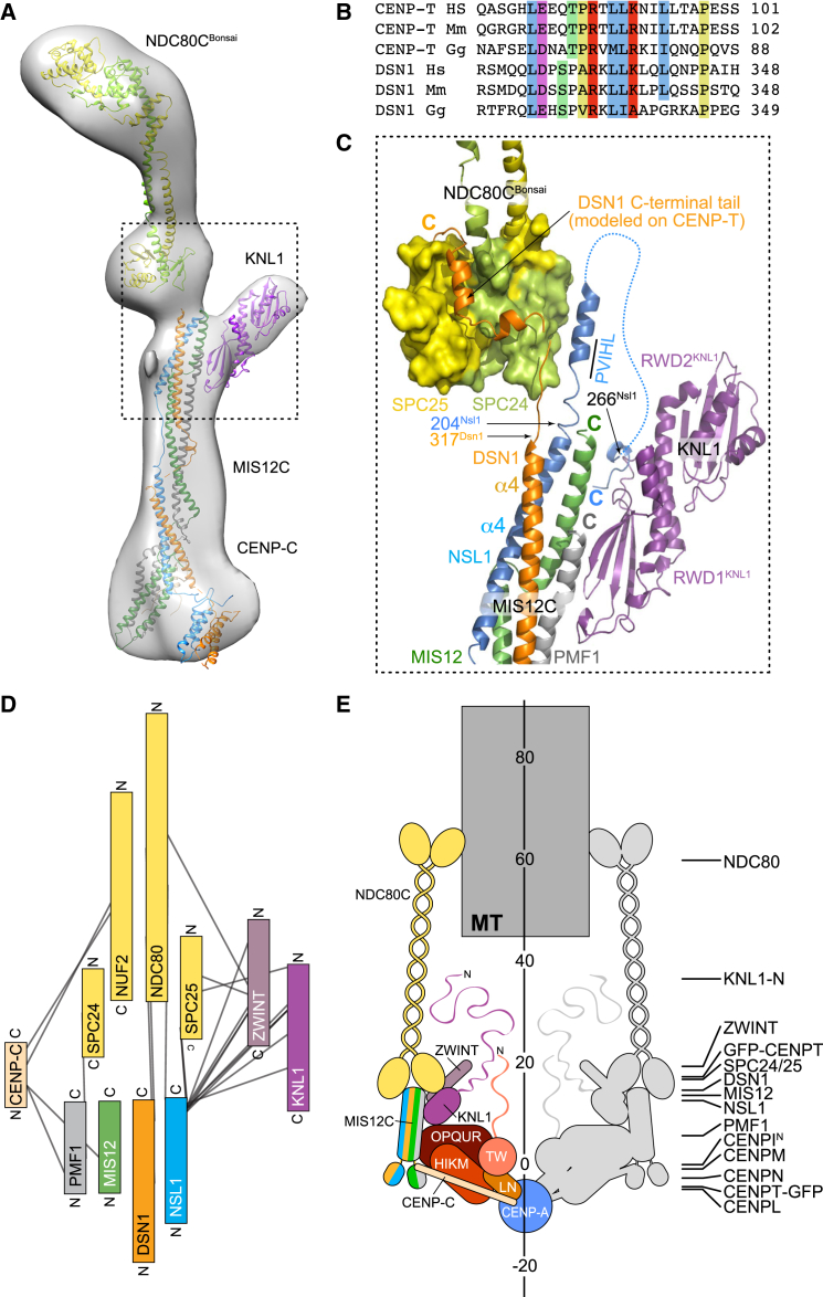 Figure 6