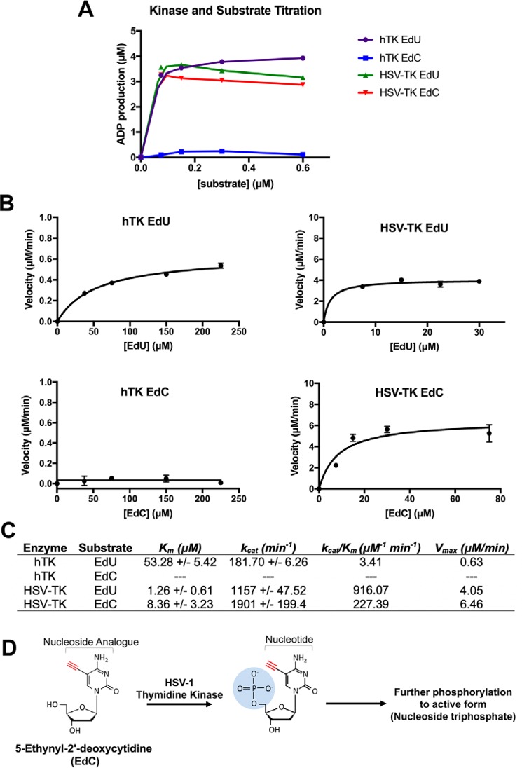 Figure 11.
