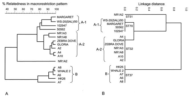 FIG. 4.