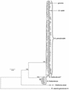 FIG. 3.