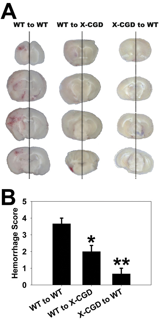 Fig 5