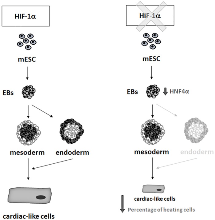 Fig 8