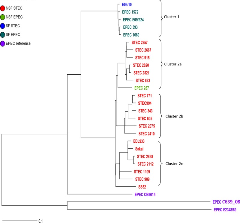 FIG 3