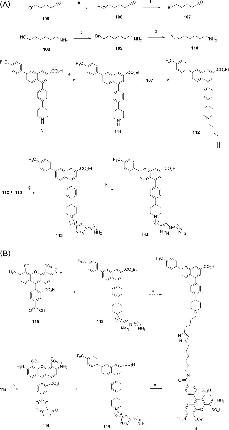 Scheme 3