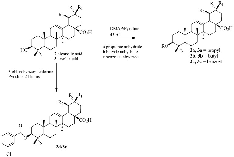 Scheme 2