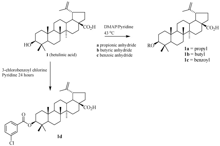 Scheme 1