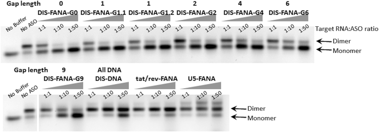 Figure 6