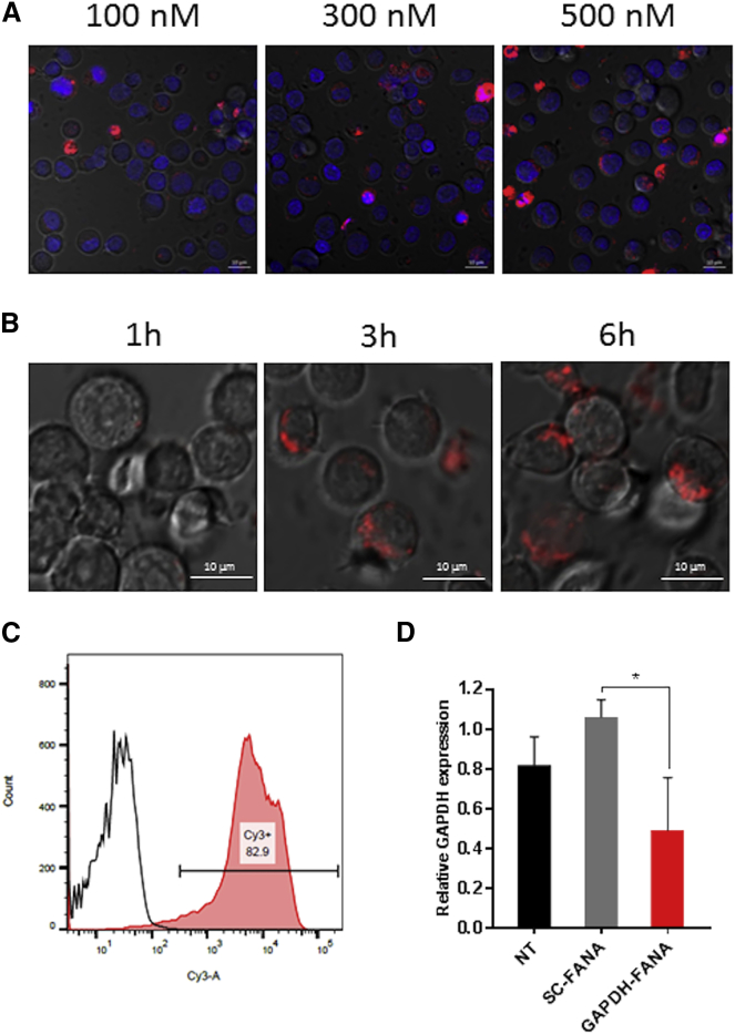 Figure 2