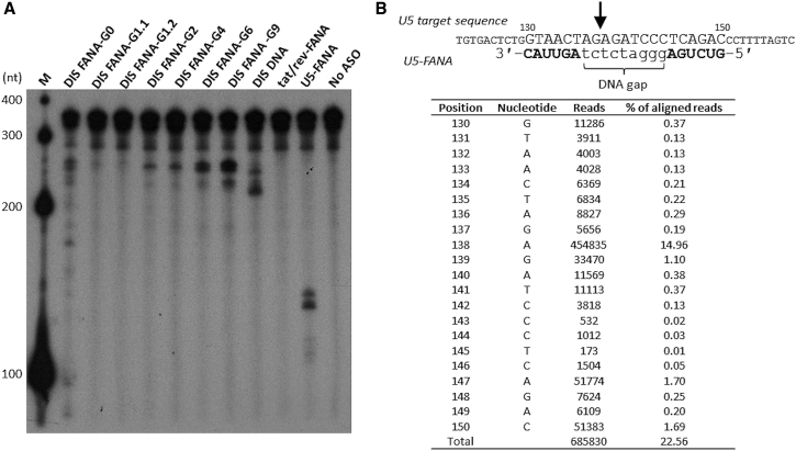 Figure 5