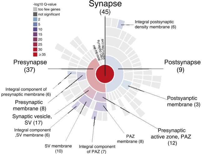 GRAPHICAL ABSTRACT