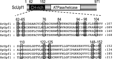 FIGURE 1.