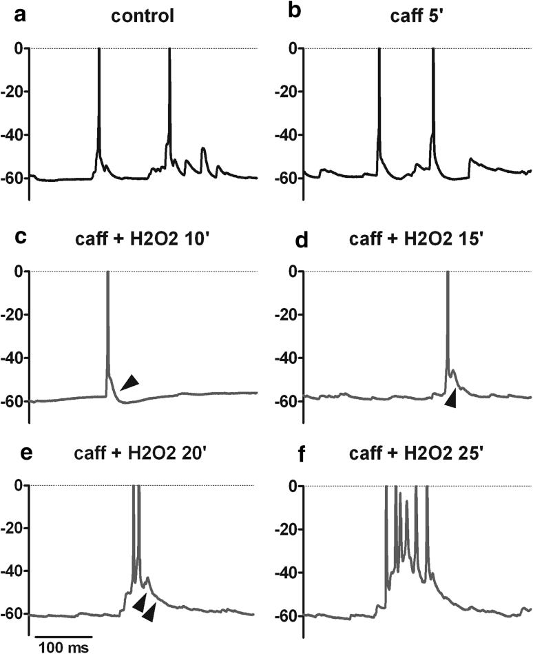 Fig. 8