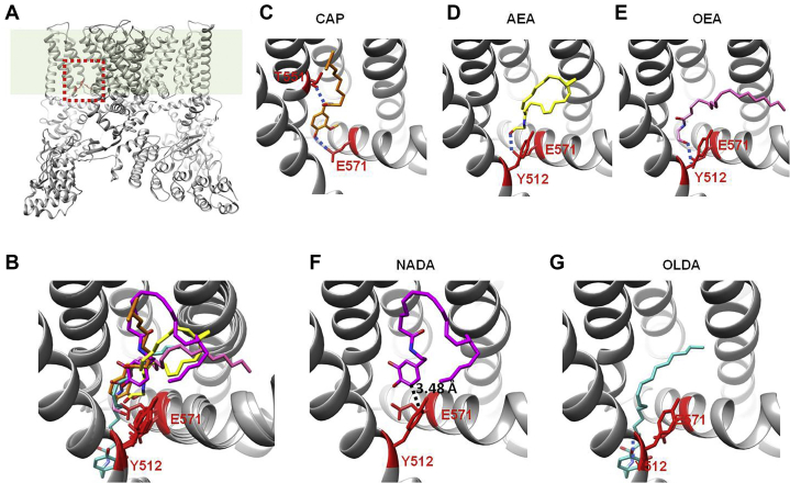 Figure 4