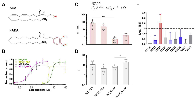 Figure 3