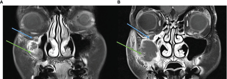 Figure 7