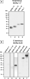 FIG. 3.