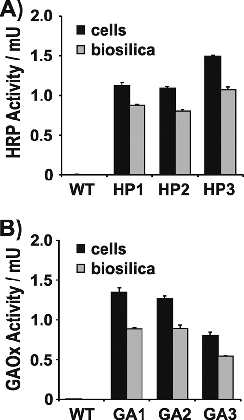 Fig 5