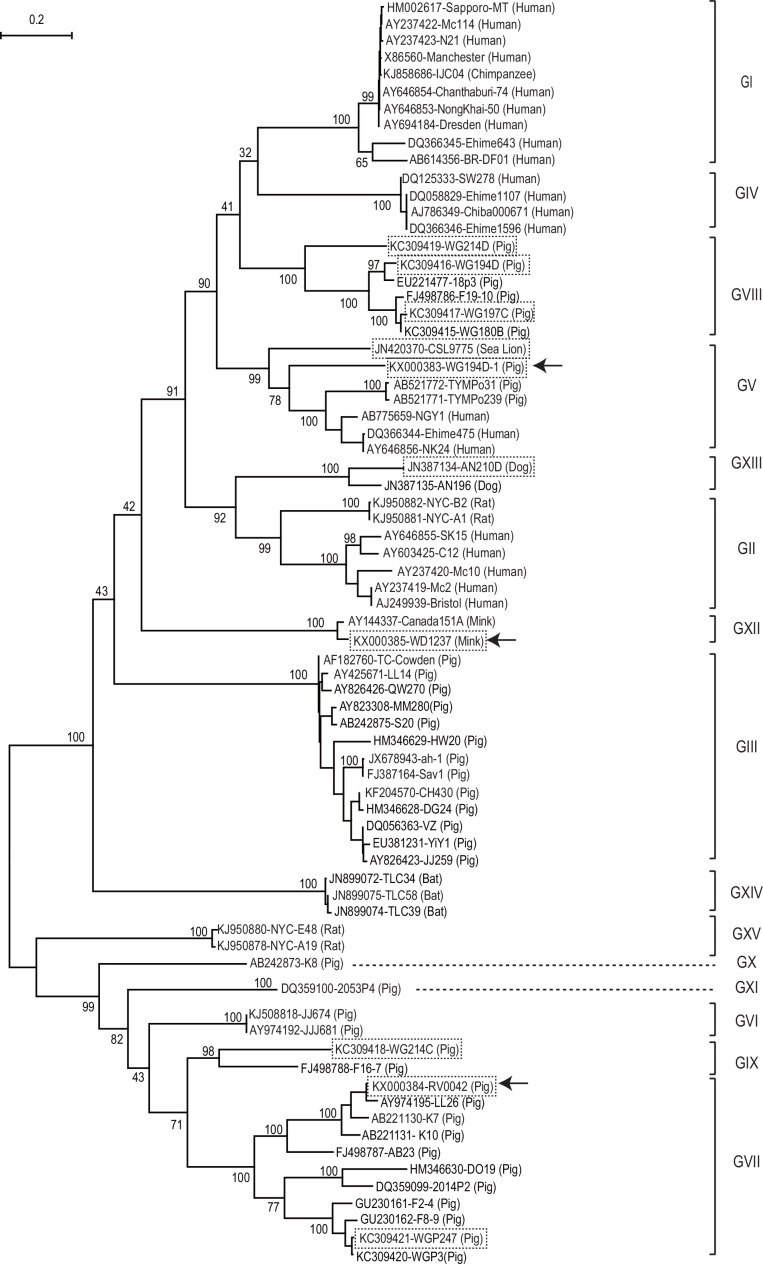 Fig 3