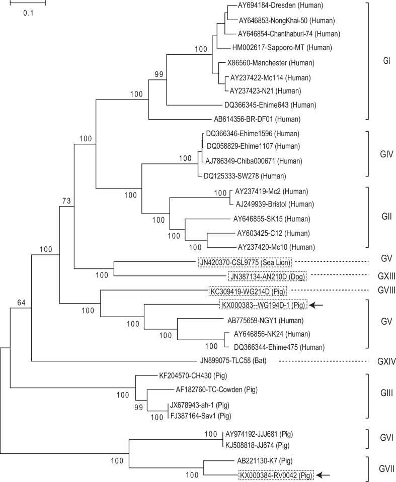 Fig 2