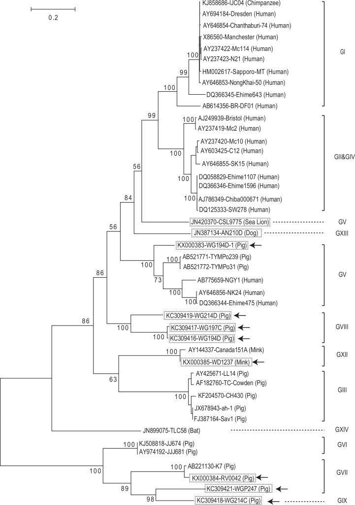 Fig 5