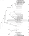 Fig 2
