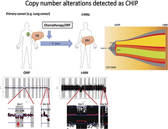 graphic file with name advances007922absf1.jpg