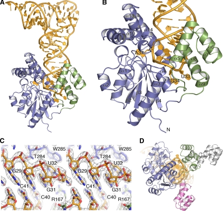 FIGURE 1.