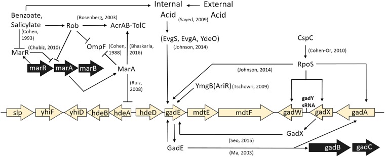 FIG 1