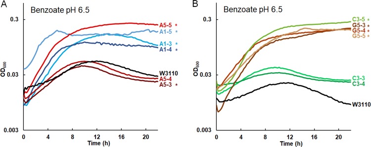 FIG 2