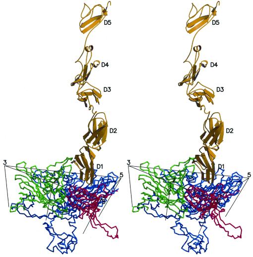 FIG. 3