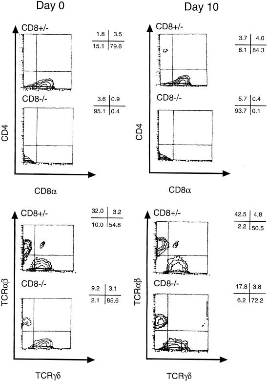 FIG. 4.