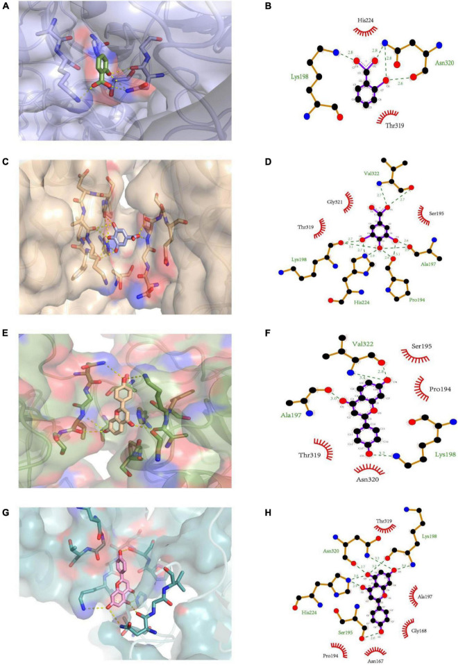 FIGURE 4