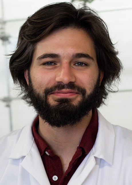 graphic file with name 41981_2022_247_Figa_HTML.jpg