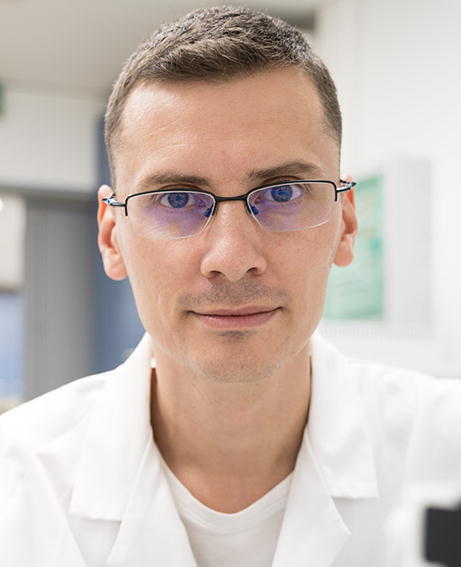 graphic file with name 41981_2022_247_Figb_HTML.jpg